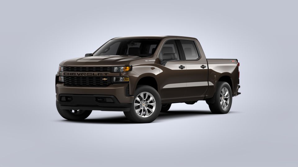 2020 Chevrolet Silverado 1500 Vehicle Photo in Lake Bluff, IL 60044