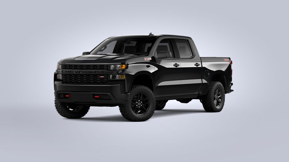 2021 Chevrolet Silverado 1500 Vehicle Photo in Hudsonville, MI 49426