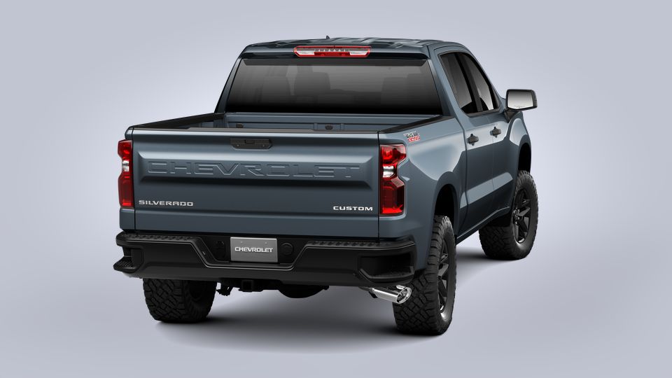 New 2021 Chevrolet Silverado 1500 Custom Trail Boss in Shadow Gray ...