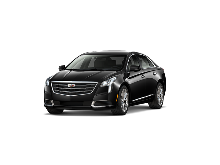 Williamson Cadillac In Miami Serving All Of South Florida