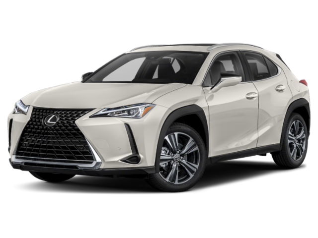 2019 Lexus UX 200 Vehicle Photo in Fort Worth, TX 76132