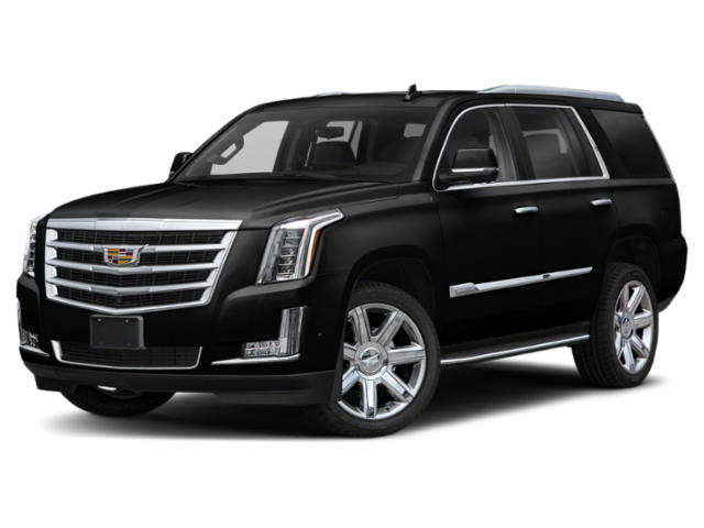 2020 Cadillac Escalade Vehicle Photo in San Antonio, TX 78230