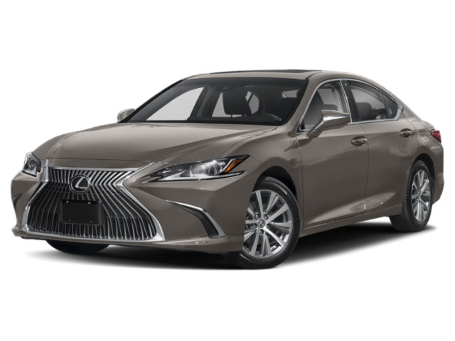 2020 Lexus ES Vehicle Photo in Fort Worth, TX 76132