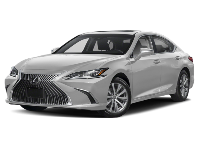 2020 Lexus ES Vehicle Photo in Fort Worth, TX 76132