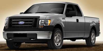 2009 Ford F-150 Vehicle Photo in Saginaw, MI 48609
