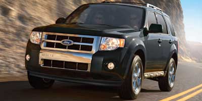 2010 Ford Escape Vehicle Photo in Westland, MI 48185