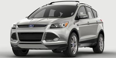2014 Ford Escape Vehicle Photo in Janesville, WI 53545