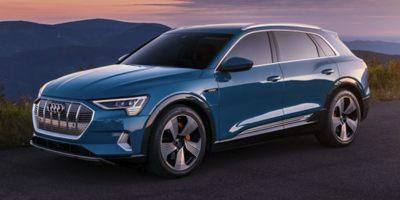 2019 Audi e-tron Vehicle Photo in Houston, TX 77090