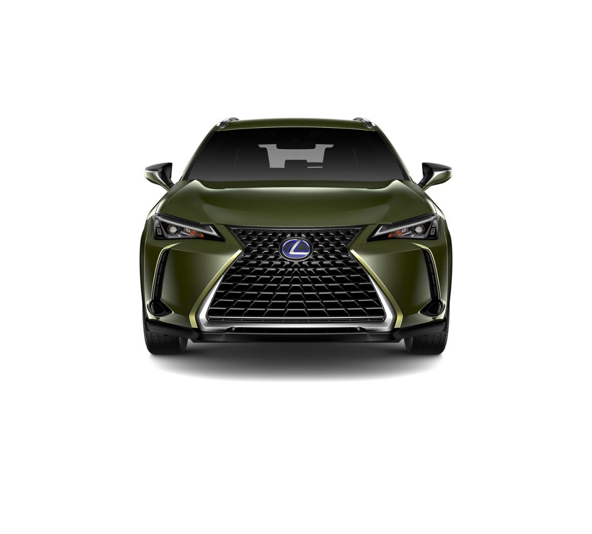 Willow Grove Nori Green Pearl 2019 Lexus UX 250h: New Suv for Sale - W3069