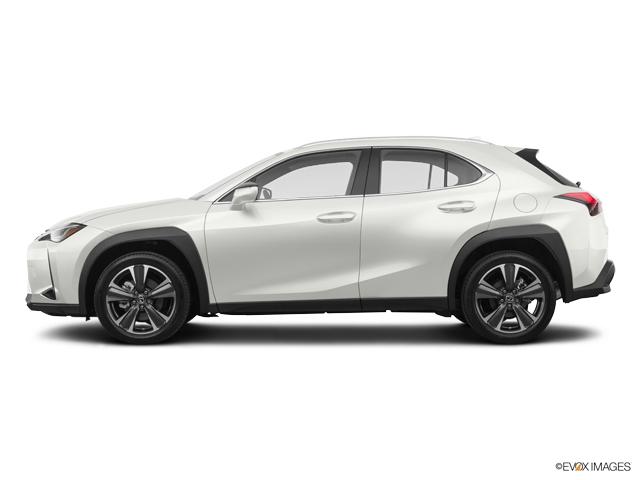 2019 Lexus UX 200 Vehicle Photo in Fort Worth, TX 76132