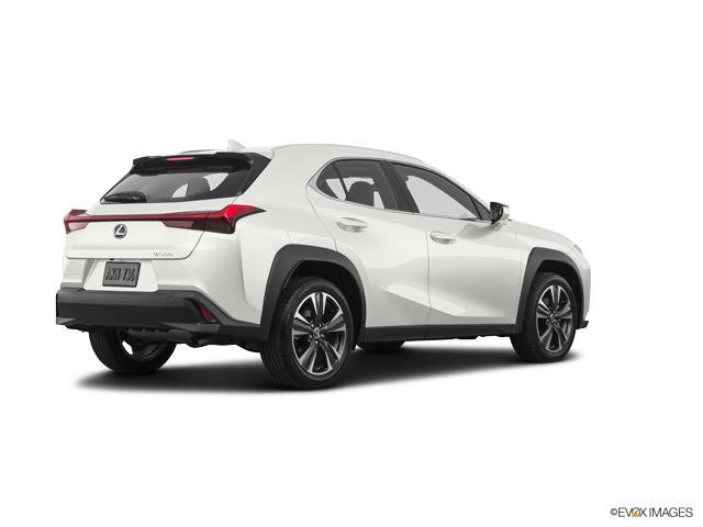 2019 Lexus UX 200 Vehicle Photo in Fort Worth, TX 76132