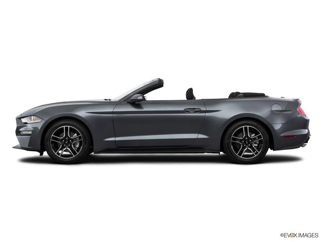 2018 Ford Mustang Vehicle Photo in Janesville, WI 53545
