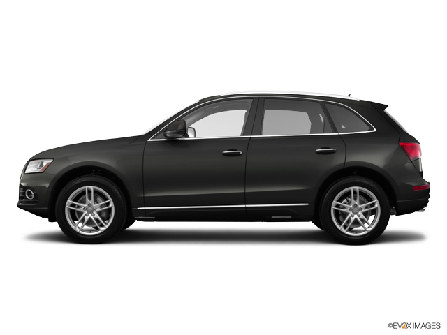 2015 Audi Q5 Vehicle Photo in McKinney, TX 75070