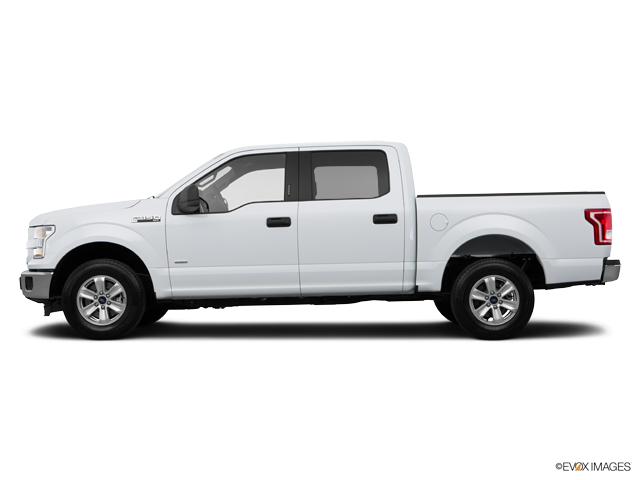 2015 Ford F-150 Vehicle Photo in Janesville, WI 53545