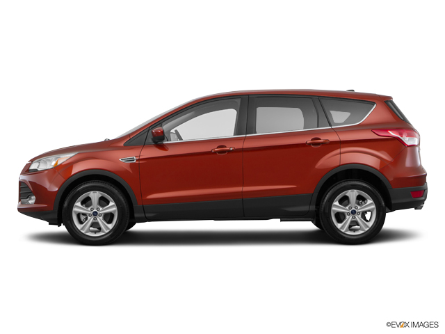 2016 Ford Escape Vehicle Photo in Janesville, WI 53545