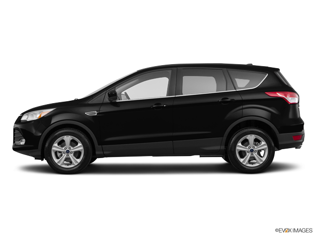 2016 Ford Escape Vehicle Photo in Janesville, WI 53545