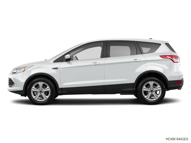 2016 Ford Escape Vehicle Photo in Janesville, WI 53545