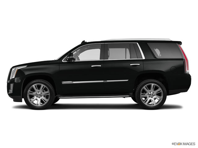 2016 Cadillac Escalade Vehicle Photo in Smyrna, GA 30080
