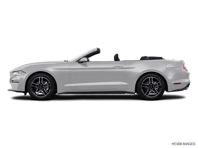 2018 Ford Mustang Vehicle Photo in Janesville, WI 53545