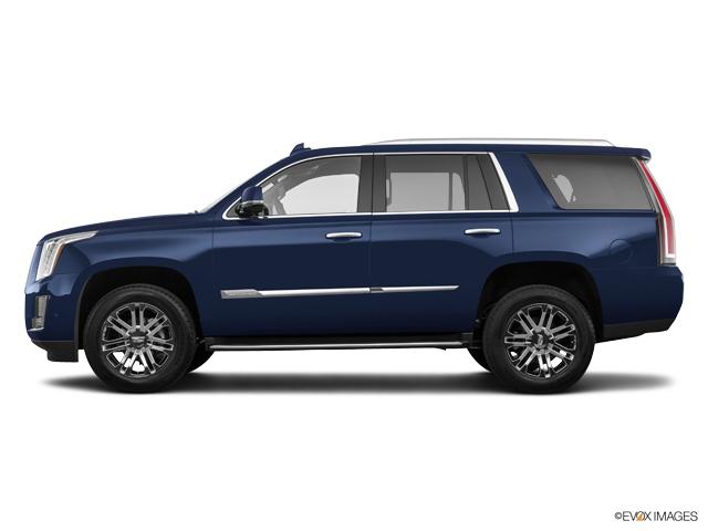 2019 Cadillac Escalade Vehicle Photo in San Antonio, TX 78230