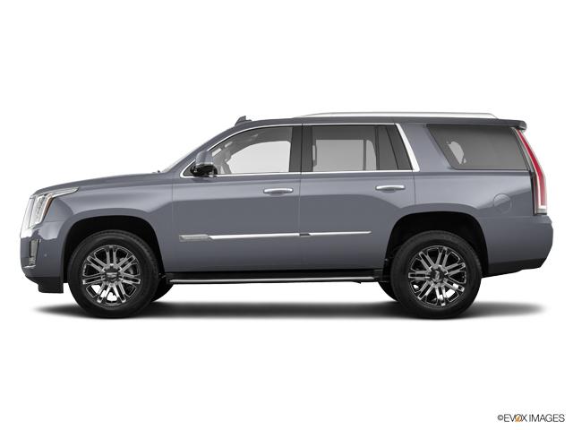 2019 Cadillac Escalade Vehicle Photo in Dallas, TX 75209