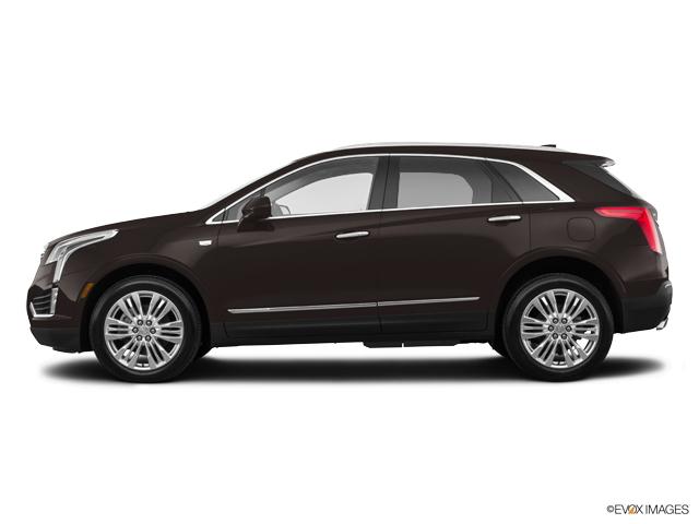 2019 Cadillac XT5 Vehicle Photo in San Antonio, TX 78230