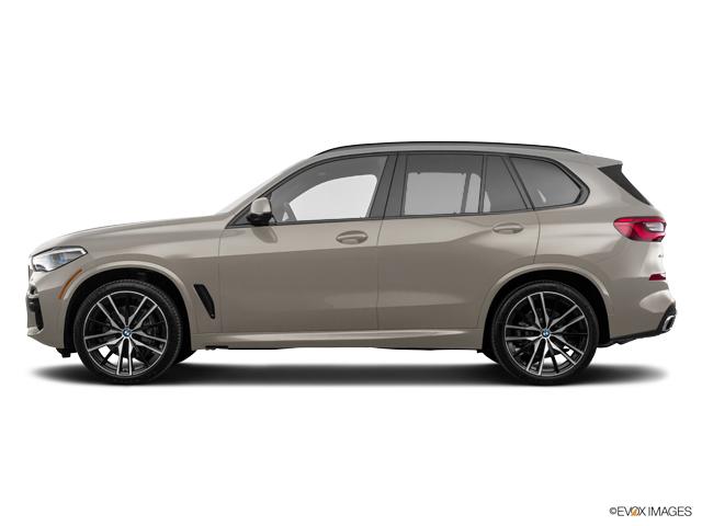 2019 BMW X5 xDrive50i Vehicle Photo in Grapevine, TX 76051