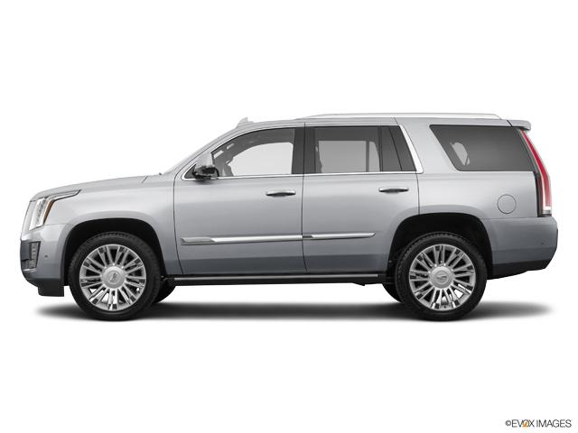 2019 Cadillac Escalade Vehicle Photo in San Antonio, TX 78230