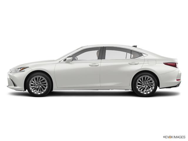 2019 Lexus ES 350 Vehicle Photo in Fort Worth, TX 76132