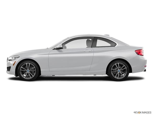 2020 BMW 230i Vehicle Photo in Grapevine, TX 76051