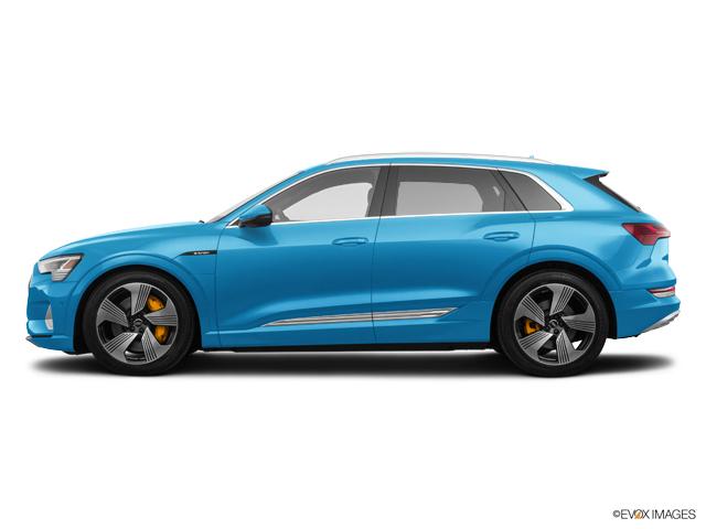 2019 Audi e-tron Vehicle Photo in Houston, TX 77090