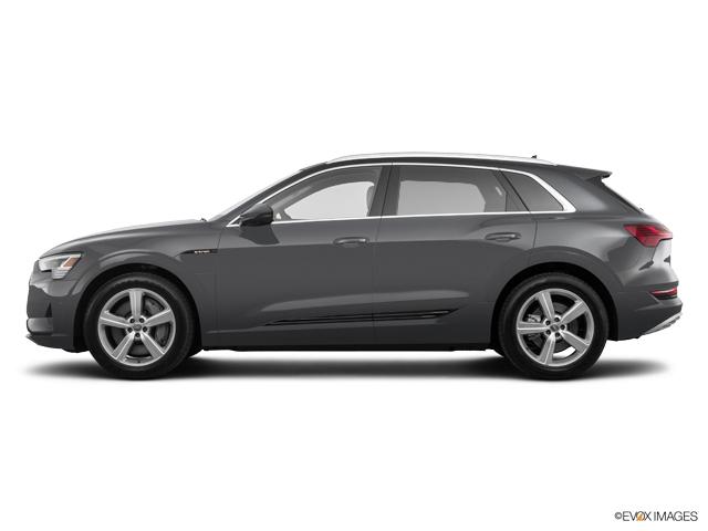 2019 Audi e-tron Vehicle Photo in Houston, TX 77090