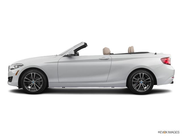 2020 BMW 230i Vehicle Photo in Grapevine, TX 76051