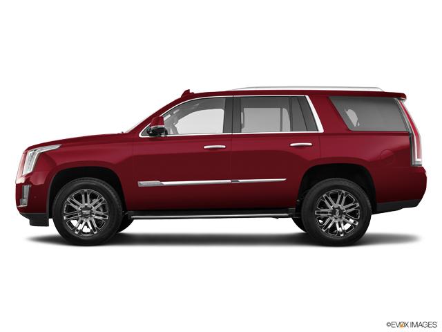 2020 Cadillac Escalade Vehicle Photo in Houston, TX 77079