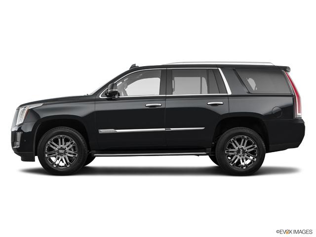 2020 Cadillac Escalade Vehicle Photo in San Antonio, TX 78230