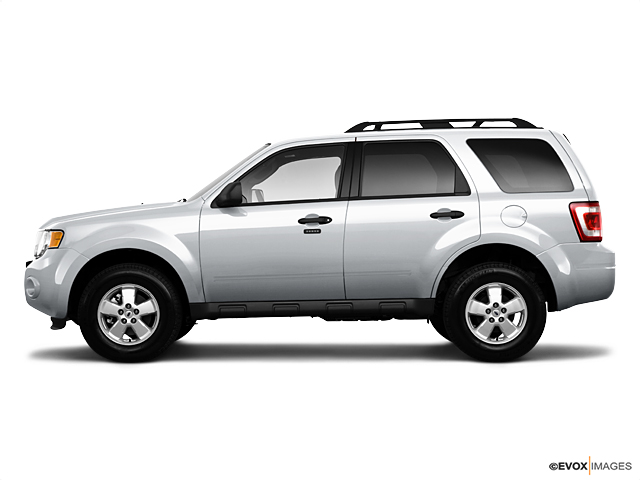 Ingot Silver Metallic 2010 Ford Escape 4WD 4dr XLT for Sale at Criswell ...