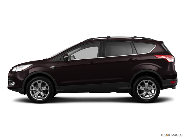 2013 Ford Escape Vehicle Photo in Janesville, WI 53545