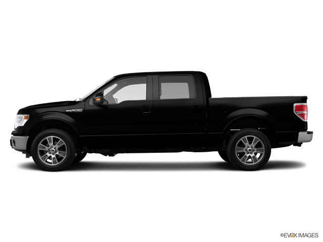 2014 Ford F-150 Vehicle Photo in Janesville, WI 53545