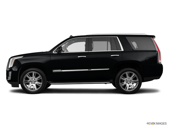 2015 Cadillac Escalade Vehicle Photo in San Antonio, TX 78230