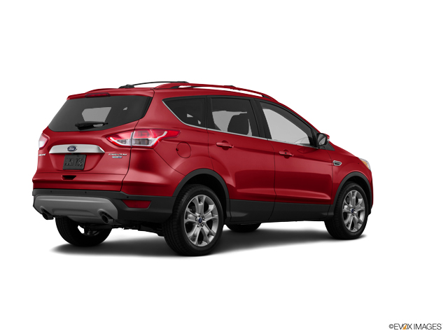 2015 Ford Escape Vehicle Photo in Janesville, WI 53545