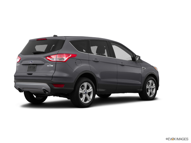 2015 Ford Escape Vehicle Photo in Janesville, WI 53545