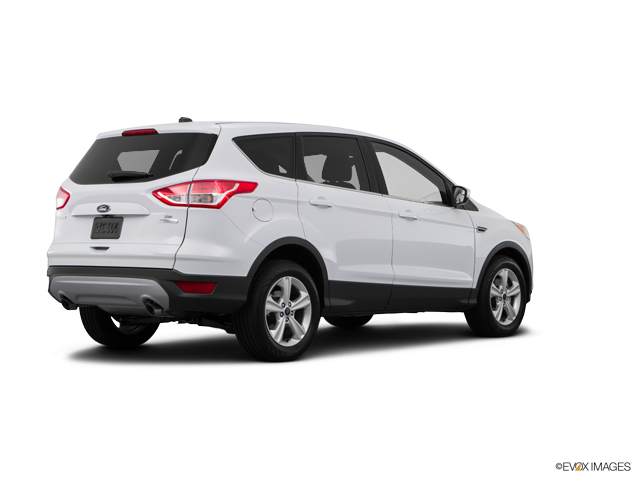 2015 Ford Escape Vehicle Photo in Janesville, WI 53545