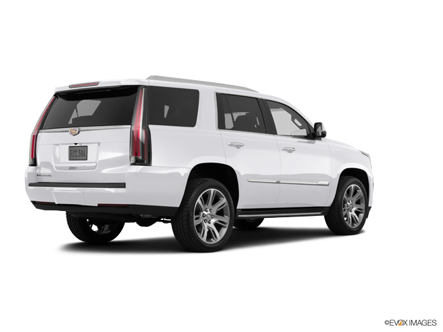 2016 Cadillac Escalade Vehicle Photo in Fort Worth, TX 76132