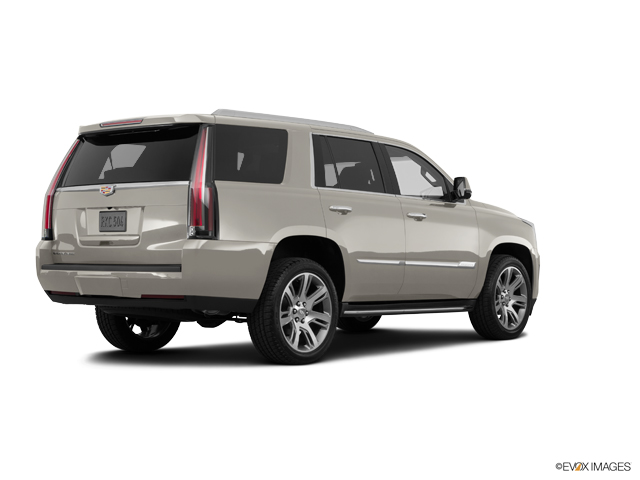 2016 Cadillac Escalade Vehicle Photo in Smyrna, GA 30080