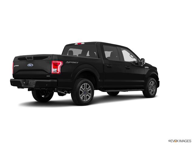 2017 Ford F-150 Vehicle Photo in Janesville, WI 53545