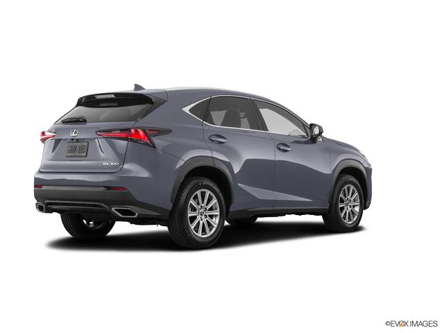 2019 Lexus NX 300 Vehicle Photo in Fort Worth, TX 76132