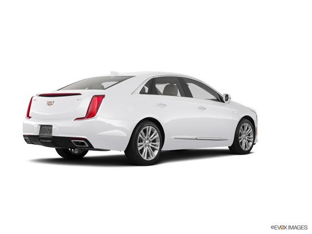 2019 Cadillac XTS Vehicle Photo in San Antonio, TX 78230