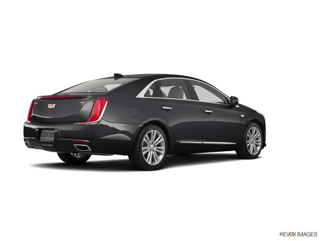 2019 Cadillac XTS Vehicle Photo in San Antonio, TX 78230