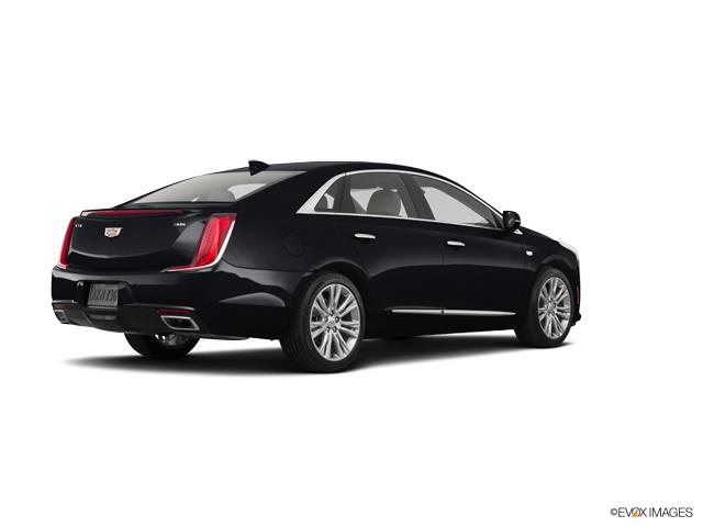 2019 Cadillac XTS Vehicle Photo in San Antonio, TX 78230