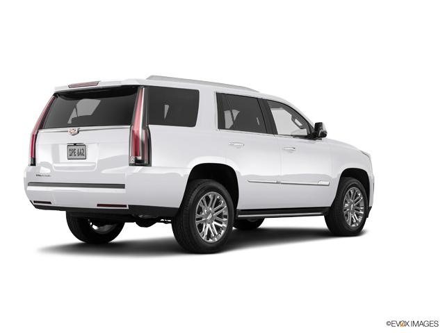 2019 Cadillac Escalade Vehicle Photo in Houston, TX 77079